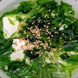 ネギと水菜と豆腐のスープ